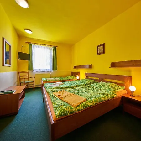 Πανσιόν & Restaurace Zeleny Mlyn 3*
